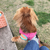 Profile picture small