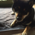 Profile picture small