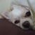 Profile picture small