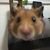 Profile picture small