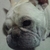 Profile picture small