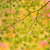 Profile picture small