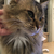 Profile picture small