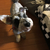 Profile picture small