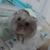 すみたん