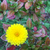 Profile picture small