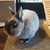 Profile picture small