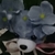 Profile picture small