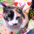 Profile picture small
