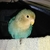 Profile picture small