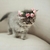 Profile picture small