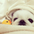 Profile picture small