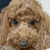 Profile picture small