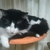 Profile picture small