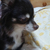 Profile picture small