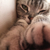 Profile picture small