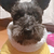 Profile picture small