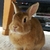 Profile picture small