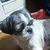 Profile picture small