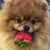 Profile picture small