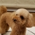 Profile picture small