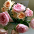 Profile picture small