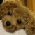 Profile picture small