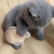 Profile picture small