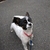 Profile picture small