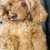Profile picture small