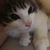 Profile picture small