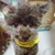 Profile picture small
