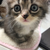 ぴゆ