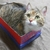 Profile picture small