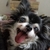 Profile picture small