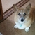 Profile picture small