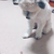 ころ
