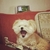 Profile picture small