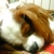 Profile picture small