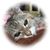 Profile picture small