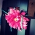 Profile picture small