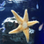 Profile picture small