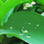 Profile picture small