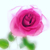 Profile picture small