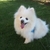 Profile picture small