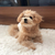 Profile picture small