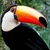 Profile picture small