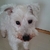 Profile picture small