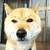 Profile picture small