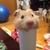 Profile picture small